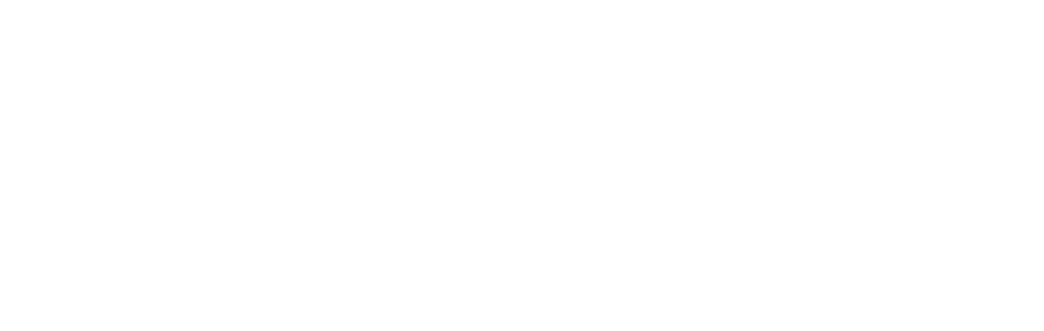 srt mien trung logo